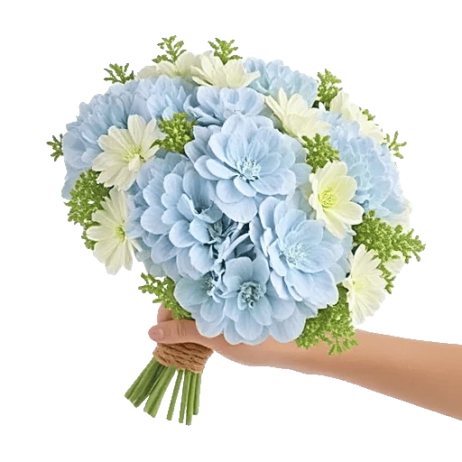 Serene Petal Harmony