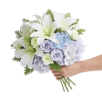 Serene Petal Harmony