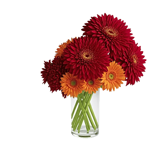 Crimson Blossom Harmony