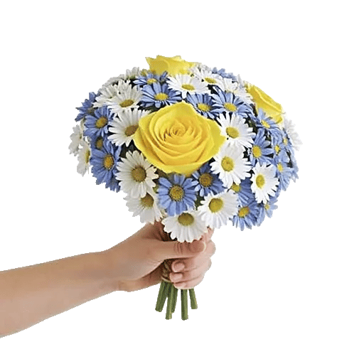 Blushing Rose Symphony