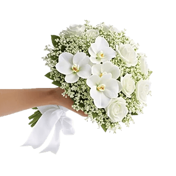 Minimalist White Orchids