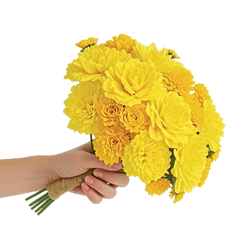 Petal Harmony Bliss