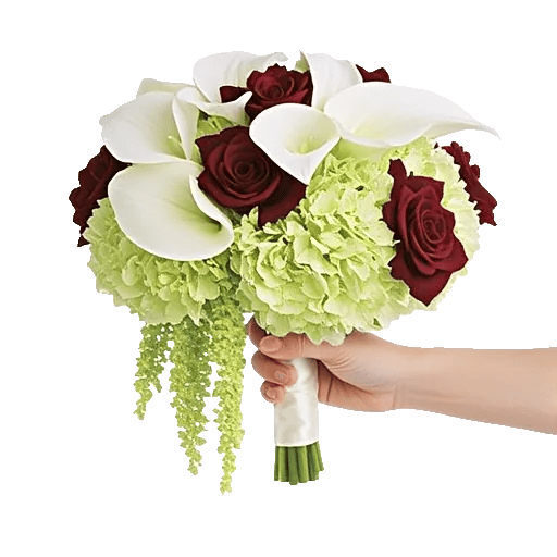 Elegant Calla Lilies