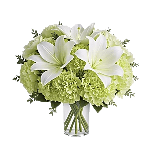 Ivory Blossom Radiance