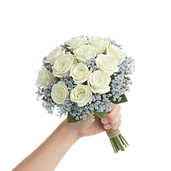 Blossom Radiant Whisper