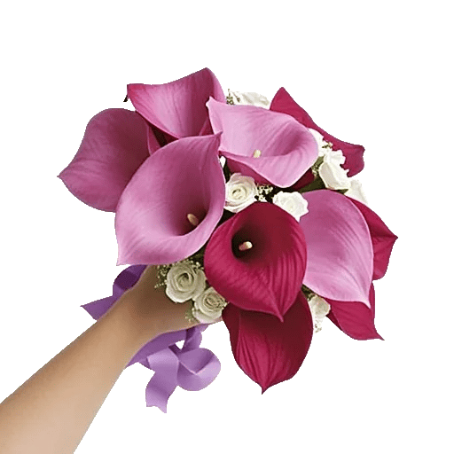Elegant Calla Lilies