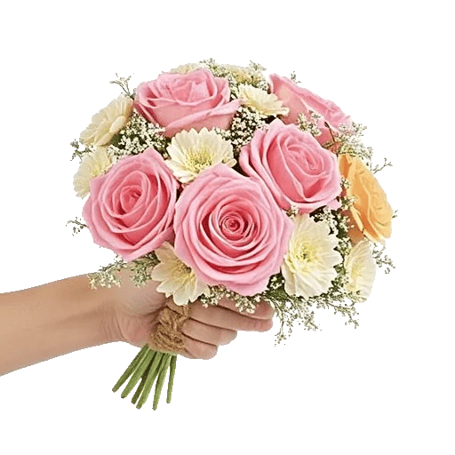 Pastel Pink Roses