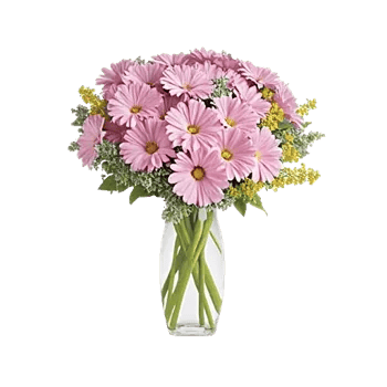 Petal Radiance Bliss