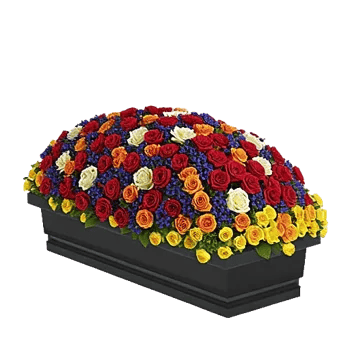 Crimson Rose Elegance