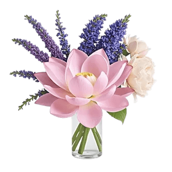 Petal Radiance Bliss