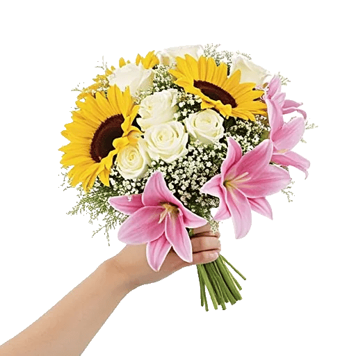 Twinkling Sunflower Dance