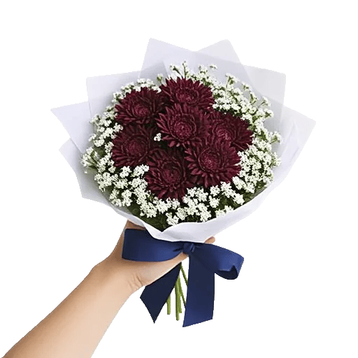 Elegant Calla Lilies