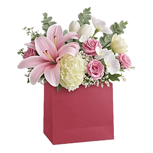 Minimalist White Orchids