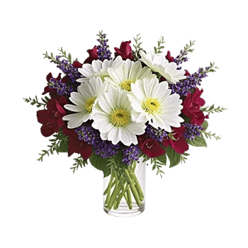 Petal Radiance Bliss