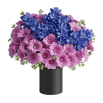 Serenity Blossom Grace