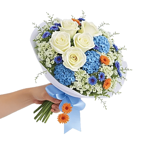 Serene Petal Harmony