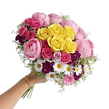 Peony Petal Harmony