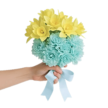 Soft Sunlight Blooms