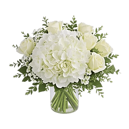 Serene Petal Harmony