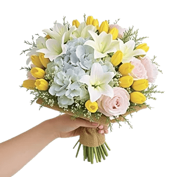 Serene Petal Harmony