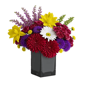 Petal Radiance Bliss