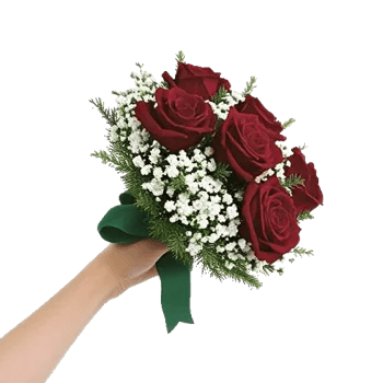 Crimson Rose Elegance