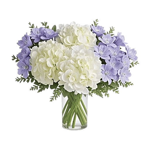 Azure Sky Blooms