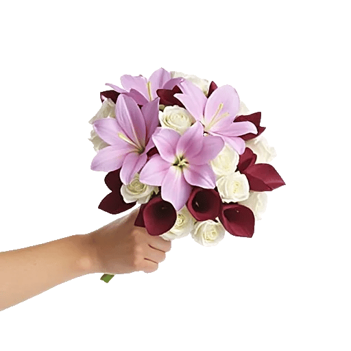 Elegant Calla Lilies