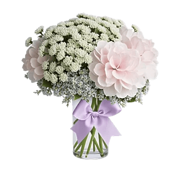 Ivory Blossom Radiance