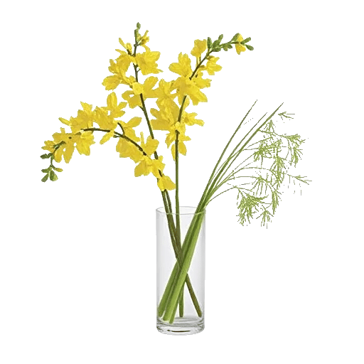 Ivory Blossom Radiance