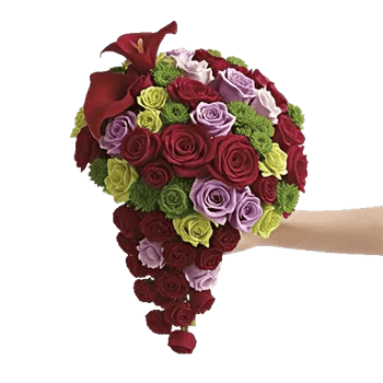 Elegant Calla Lilies