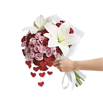 Blushing Rose Symphony