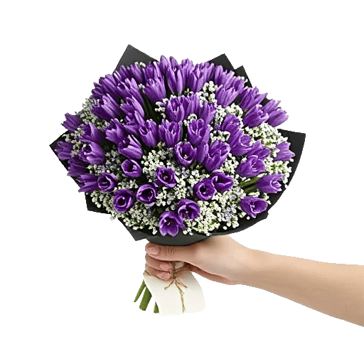 Pastel Blossom Grace