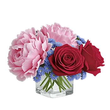 Petal Radiance Bliss