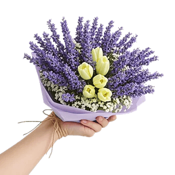 Lavender Bloom Grace