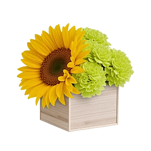 Golden Sunflower Bouquet