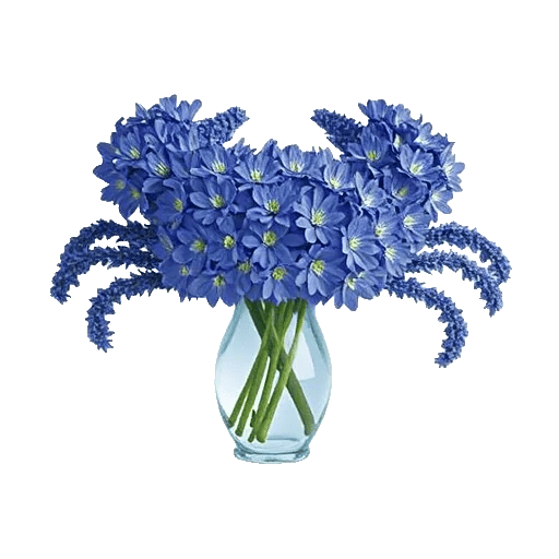 Sapphire Bloom Whisper