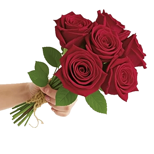 Crimson Rose Elegance