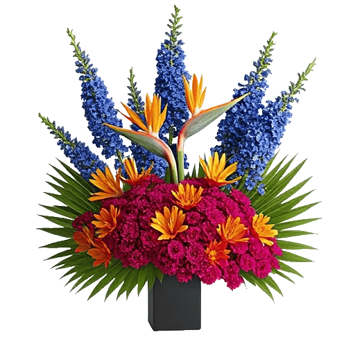 Modern White Orchids