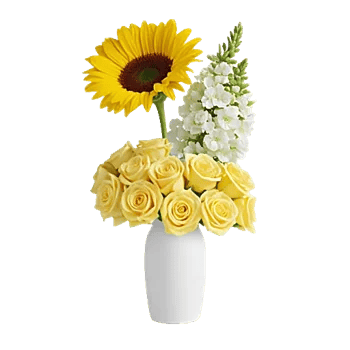 Radiant Bloom Cascade