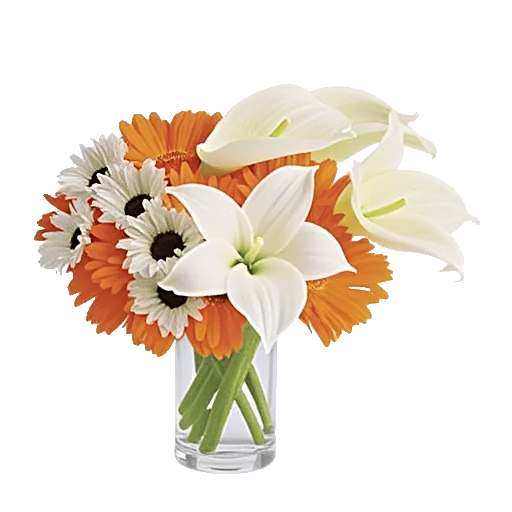 Petal Radiance Bliss