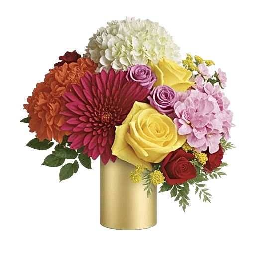 Petal Radiance Bliss