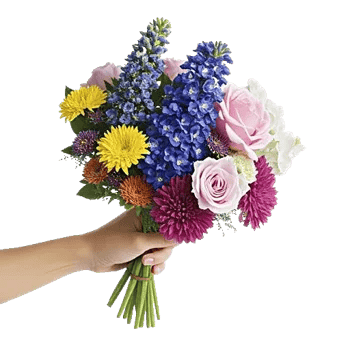 Blossom Petal Serenity