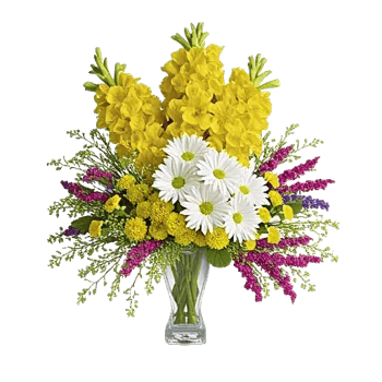 Petal Radiance Bliss