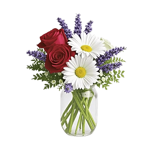 Tulip Rose Mix