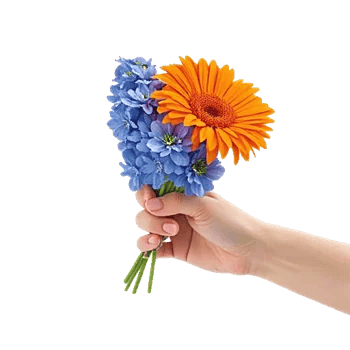 Petal Harmony Bliss