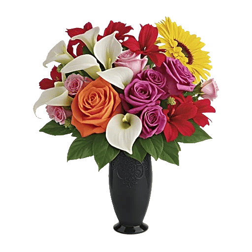 Radiant Rose Symphony