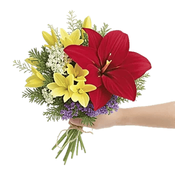 Crimson Blossom Harmony