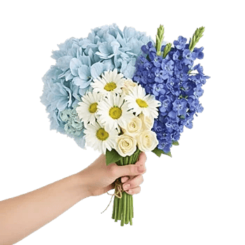 Sapphire Bloom Whisper