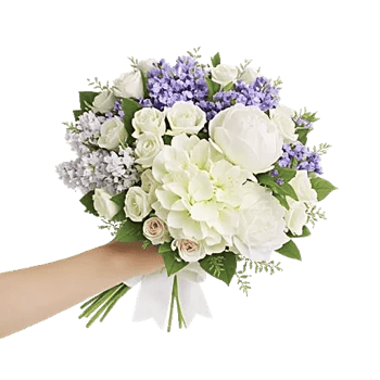 Serene Petal Harmony